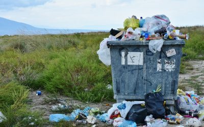 Challenges and opportunities for the UK trade in waste