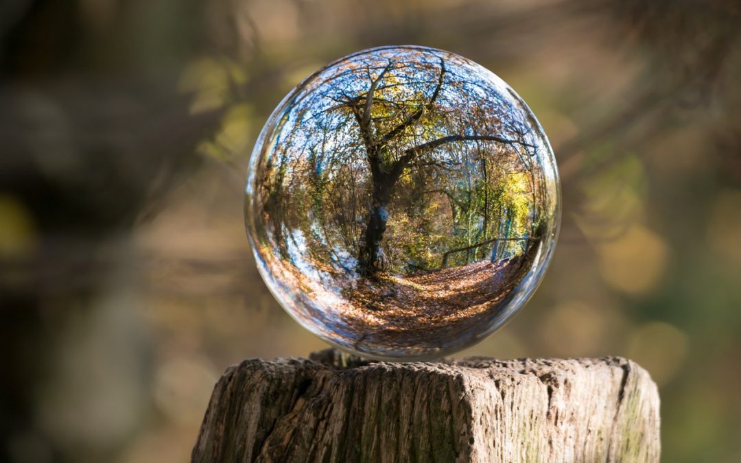 Comment on the Government’s 25-year environmental plan