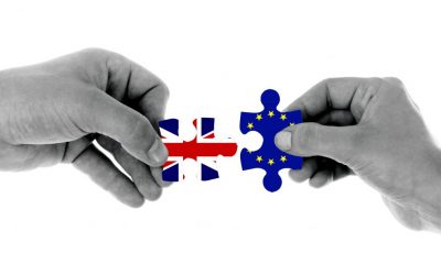 Dr Graham Gudgin examines the likely options for a future trade relationship between the UK and EU