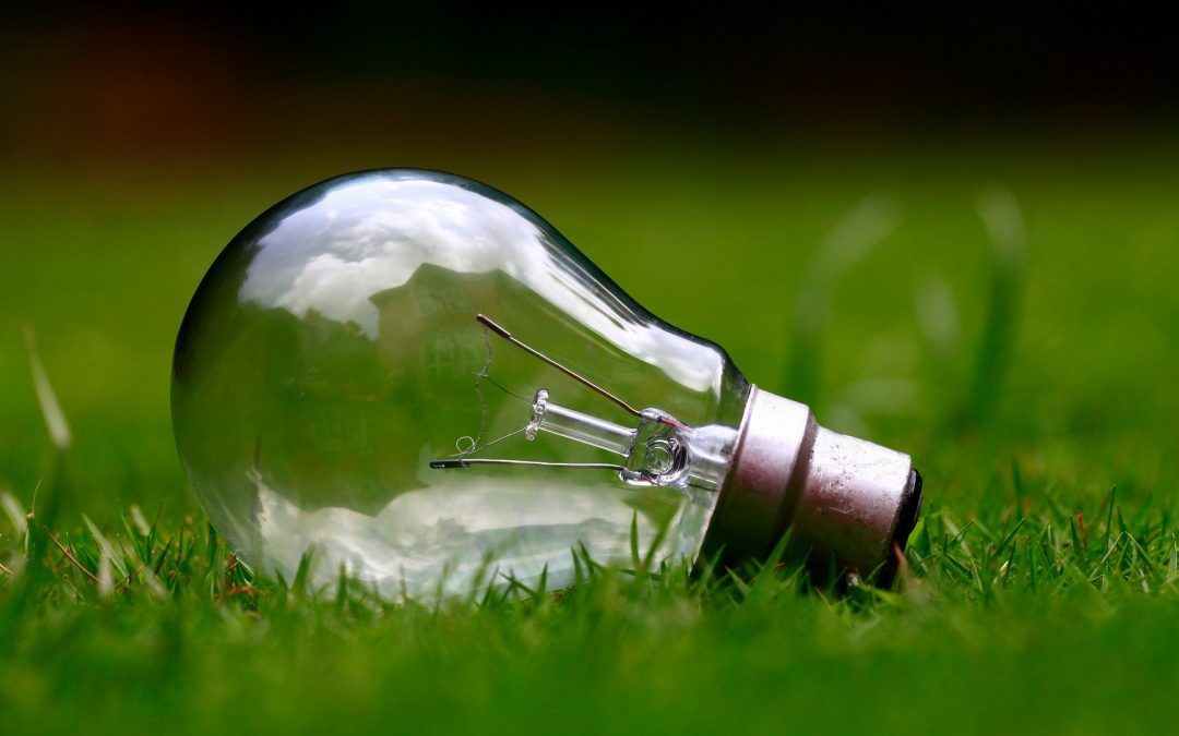 Net Zero needs a democratic mandate